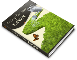 Caring For Your Lawn