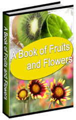 A Book Of Fruits and Flowers