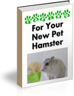 Caring for your Pet Hamster