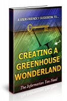 Creating a Greenhouse Wonderland