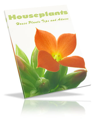 Houseplants