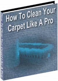 How To Clean Your Carpet Like A Pro