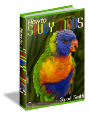 How To Study Birds