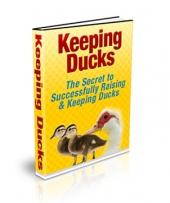 Keeping Ducks