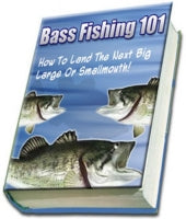 Bass fishing 101