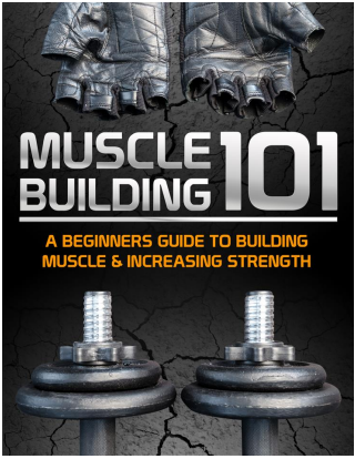 Muscle building 101
