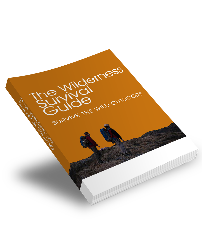 The Wilderness Survival Guide
